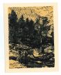 The Forest