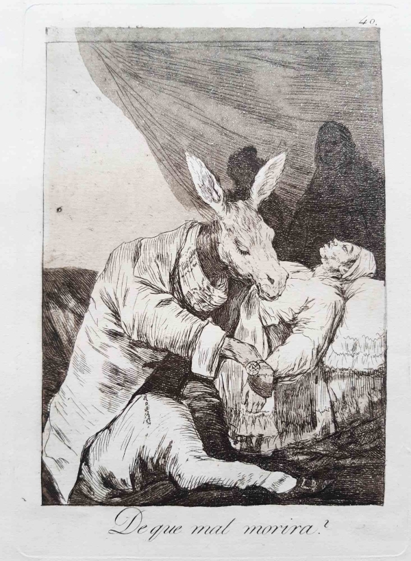 Francisco Josè de Goya y Lucientes, ¿De qué mal morirá?